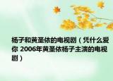 杨子和黄圣依的电视剧（凭什么爱你 2006年黄圣依杨子主演的电视剧）