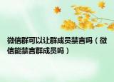 微信群可以让群成员禁言吗（微信能禁言群成员吗）