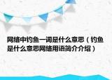 网络中钓鱼一词是什么意思（钓鱼是什么意思网络用语简介介绍）