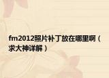 fm2012照片补丁放在哪里啊（求大神详解）
