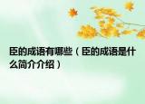 臣的成语有哪些（臣的成语是什么简介介绍）