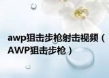 awp狙击步枪射击视频（AWP狙击步枪）