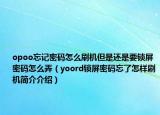 opoo忘记密码怎么刷机但是还是要锁屏密码怎么弄（yoord锁屏密码忘了怎样刷机简介介绍）