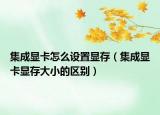 集成显卡怎么设置显存（集成显卡显存大小的区别）