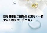 自身生来有灵的是什么生肖（一物生来不露面是什么生肖）