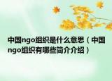 中国ngo组织是什么意思（中国ngo组织有哪些简介介绍）