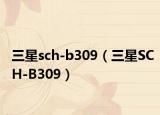 三星sch-b309（三星SCH-B309）
