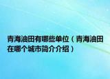 青海油田有哪些单位（青海油田在哪个城市简介介绍）