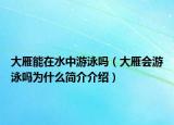 大雁能在水中游泳吗（大雁会游泳吗为什么简介介绍）