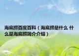海底捞百度百科（海底捞是什么 什么是海底捞简介介绍）