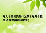 今儿个真高兴是什么歌（今儿个真高兴 莫文蔚翻唱歌曲）