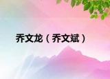 乔文龙（乔文斌）