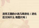 洛克王国的小迷几级进化（进化后又叫什么 有图片吗）