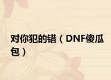对你犯的错（DNF傻瓜包）