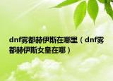 dnf雾都赫伊斯在哪里（dnf雾都赫伊斯女皇在哪）