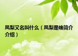 凤梨又名叫什么（凤梨是啥简介介绍）