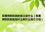 双重预防机制的定义是什么（双重预防机制是指什么和什么简介介绍）