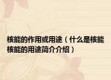 核能的作用或用途（什么是核能核能的用途简介介绍）