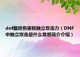 dnf最终伤害和独立攻击力（DNF中独立攻击是什么意思简介介绍）