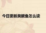 今日更新臭鳜鱼怎么读