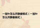 一加9r怎么开静音模式（一加9r怎么开静音模式）