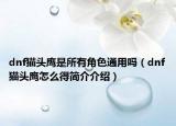 dnf猫头鹰是所有角色通用吗（dnf猫头鹰怎么得简介介绍）