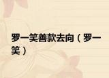 罗一笑善款去向（罗一笑）