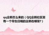qq企鹅怎么来的（QQ企鹅社区里有一个带生日帽的企鹅在哪里?）