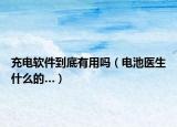 充电软件到底有用吗（电池医生什么的…）