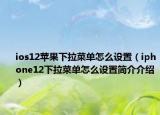 ios12苹果下拉菜单怎么设置（iphone12下拉菜单怎么设置简介介绍）
