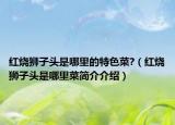 红烧狮子头是哪里的特色菜?（红烧狮子头是哪里菜简介介绍）