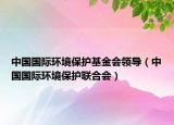 中国国际环境保护基金会领导（中国国际环境保护联合会）