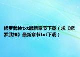 修罗武神txt最新章节下载（求《修罗武神》最新章节txt下载）