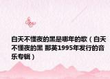白天不懂夜的黑是哪年的歌（白天不懂夜的黑 那英1995年发行的音乐专辑）