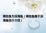 哪些鱼为深海鱼（哪些鱼属于深海鱼简介介绍）