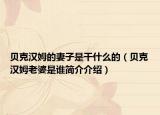 贝克汉姆的妻子是干什么的（贝克汉姆老婆是谁简介介绍）