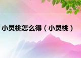小灵桃怎么得（小灵桃）