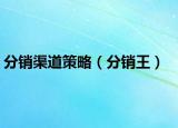 分销渠道策略（分销王）