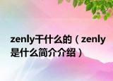 zenly干什么的（zenly是什么简介介绍）