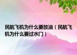 民航飞机为什么要放油（民航飞机为什么要过水门）