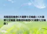 肖斯塔科维奇C大调第七交响曲（C大调第七交响曲 肖斯塔科维奇C大调第七交响曲）