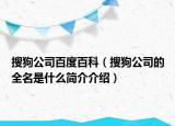 搜狗公司百度百科（搜狗公司的全名是什么简介介绍）