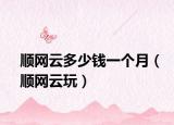 顺网云多少钱一个月（顺网云玩）