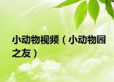 小动物视频（小动物园之友）
