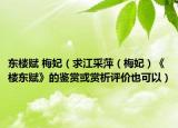 东楼赋 梅妃（求江采萍（梅妃）《楼东赋》的鉴赏或赏析评价也可以）