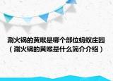 涮火锅的黄喉是哪个部位蚂蚁庄园（涮火锅的黄喉是什么简介介绍）