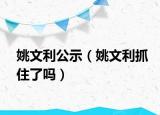 姚文利公示（姚文利抓住了吗）