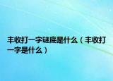 丰收打一字谜底是什么（丰收打一字是什么）