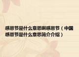 感恩节是什么意思啊感恩节（中国感恩节是什么意思简介介绍）