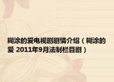 糊涂的爱电视剧剧情介绍（糊涂的爱 2011年9月法制栏目剧）